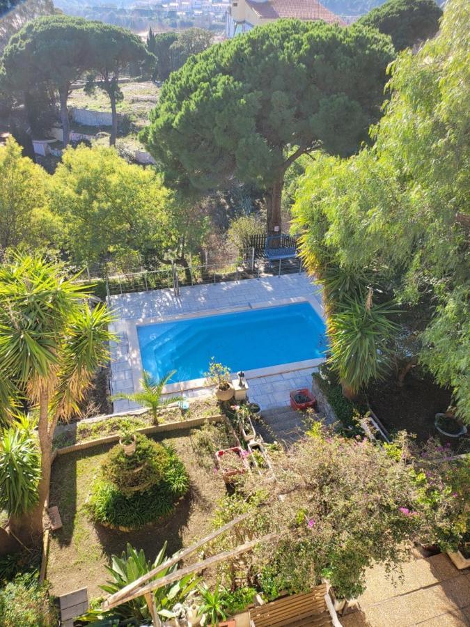 Apt 65 M2 Dans Villa Avec Piscine Banyuls Sur Mer Exteriér fotografie